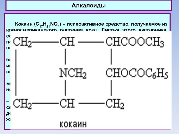 Алкалоиды Кокаин (C17H21NO4) – психоактивное средство, получаемое из южноамериканского растения кока.