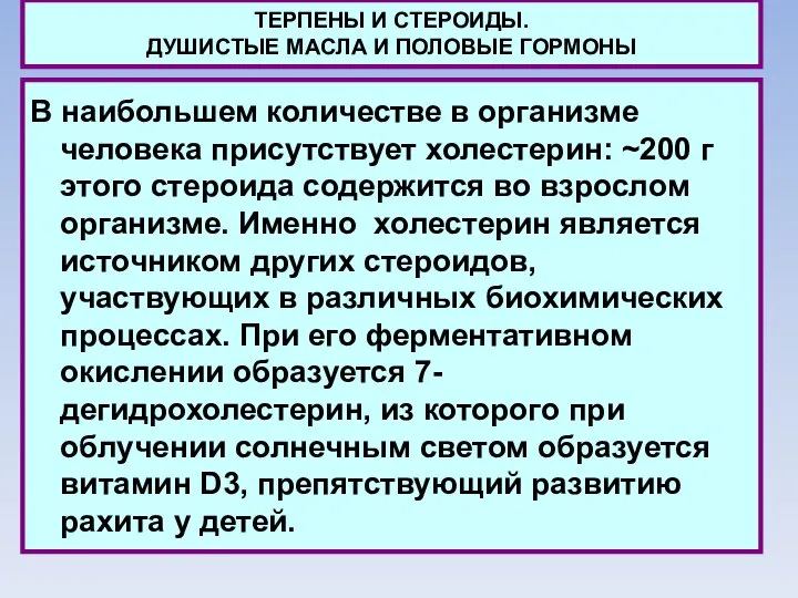 ТЕРПЕНЫ И СТЕРОИДЫ. ДУШИСТЫЕ МАСЛА И ПОЛОВЫЕ ГОРМОНЫ В наибольшем количестве