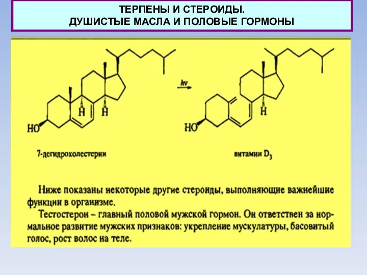 ТЕРПЕНЫ И СТЕРОИДЫ. ДУШИСТЫЕ МАСЛА И ПОЛОВЫЕ ГОРМОНЫ