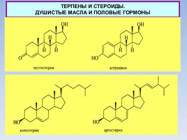 ТЕРПЕНЫ И СТЕРОИДЫ. ДУШИСТЫЕ МАСЛА И ПОЛОВЫЕ ГОРМОНЫ