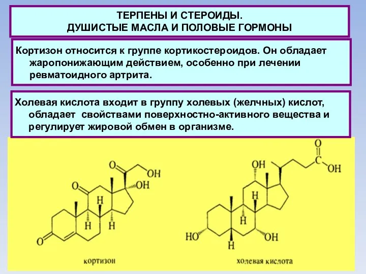 ТЕРПЕНЫ И СТЕРОИДЫ. ДУШИСТЫЕ МАСЛА И ПОЛОВЫЕ ГОРМОНЫ Кортизон относится к