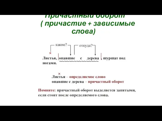 Причастный оборот ( причастие + зависимые слова) Листья, опавшие с дерева