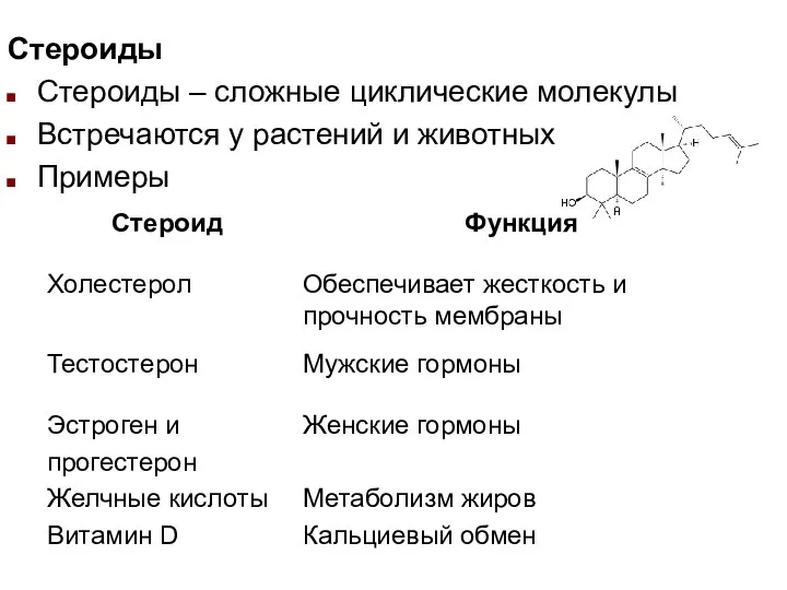 Стероиды Стероиды – сложные циклические молекулы Встречаются у растений и животных Примеры