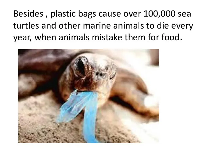 Besides , plastic bags cause over 100,000 sea turtles and other