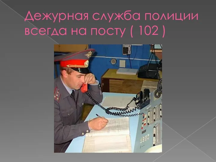 Дежурная служба полиции всегда на посту ( 102 )