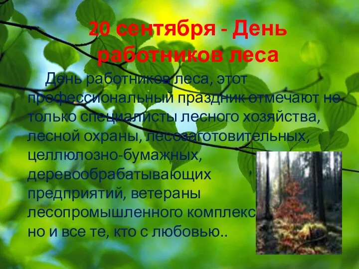 20 сентября - День работников леса День работников леса, этот профессиональный