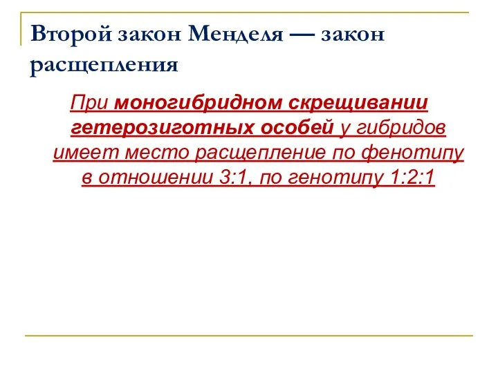 Второй закон Менделя — закон расщепления При моногибридном скрещивании гетерозиготных особей