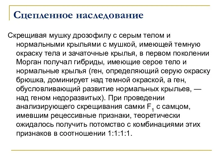 Сцепленное наследование Скрещивая мушку дрозофилу с серым телом и нормальными крыльями