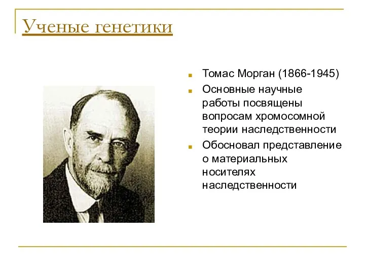 Ученые генетики Томас Морган (1866-1945) Основные научные работы посвящены вопросам хромосомной