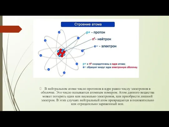 В нейтральном атоме число протонов в ядре равно числу электронов в