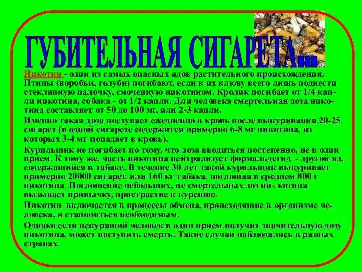 Никотин - один из самых опасных ядов растительного происхождения. Птицы (воробьи,