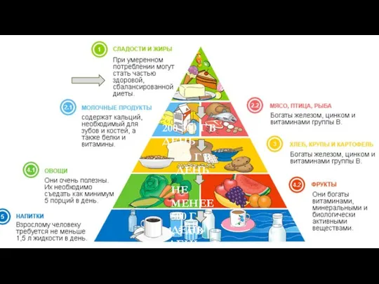 Пирамида питания СЛАДОСТИ СВЕСТИ ДО МИНИМУМА 200-300 Г В ДЕНЬ 400