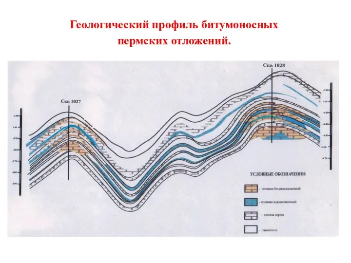 Геологический профиль битумоносных пермских отложений.