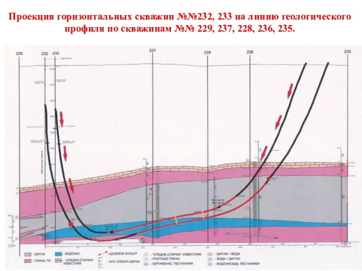 Проекция горизонтальных скважин №№232, 233 на линию геологического профиля по скважинам