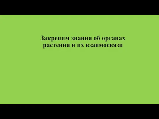 Закрепим знания об органах растения и их взаимосвязи