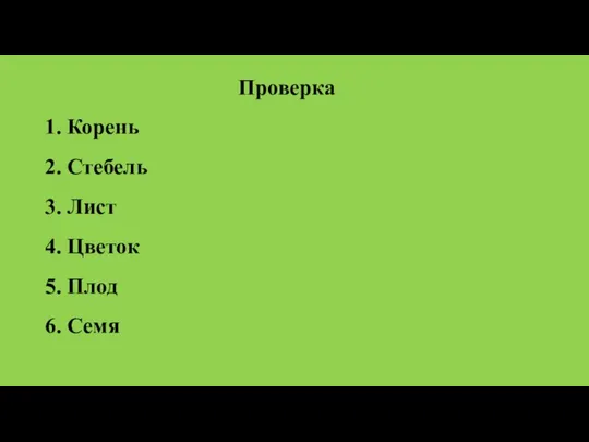 Проверка 1. Корень 2. Стебель 3. Лист 4. Цветок 5. Плод 6. Семя