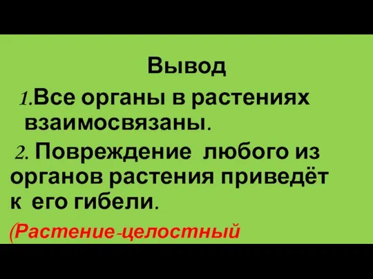 Вывод 1.Все органы в растениях взаимосвязаны. 2. Повреждение любого из органов