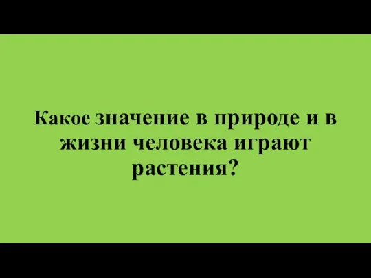 Какое значение в природе и в жизни человека играют растения?