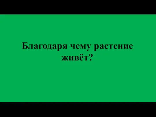 Благодаря чему растение живёт?