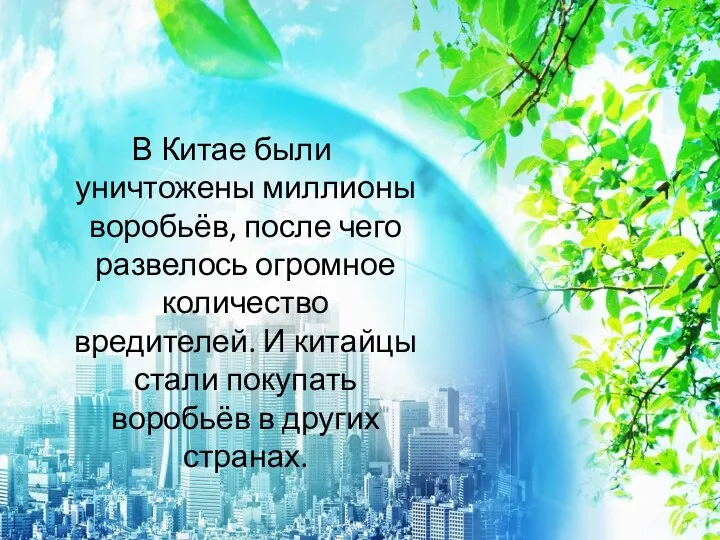 В Китае были уничтожены миллионы воробьёв, после чего развелось огромное количество