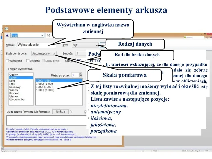 Podstawowe elementy arkusza Wyświetlana w nagłówku nazwa zmiennej Rodzaj danych Podwójnej