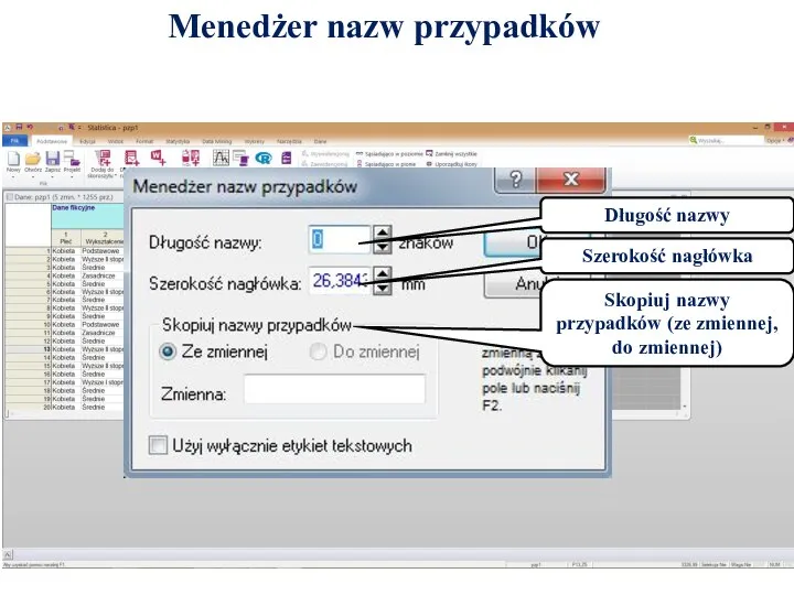 Menedżer nazw przypadków Długość nazwy Szerokość nagłówka Skopiuj nazwy przypadków (ze zmiennej, do zmiennej)