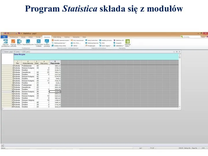 Program Statistica składa się z modułów