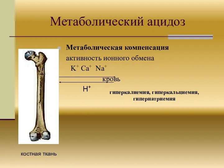 Метаболический ацидоз Метаболическая компенсация активность ионного обмена K+ Ca+ Na+ кровь