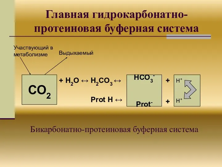 Бикарбонатно-протеиновая буферная система СО2 Участвующий в метаболизме Выдыхаемый + Н2О ↔