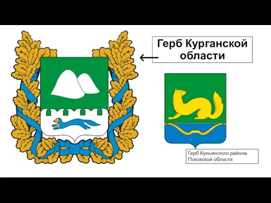 Герб Курганской области Герб Куньинского района Псковской области