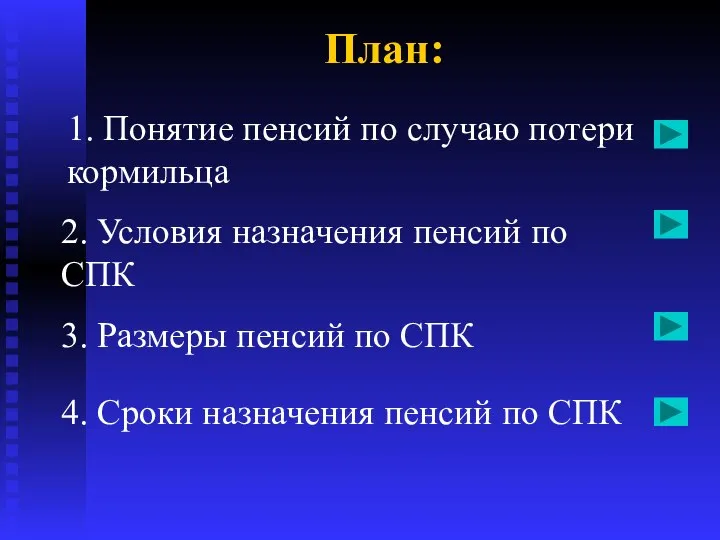 План: 2. Условия назначения пенсий по СПК 3. Размеры пенсий по