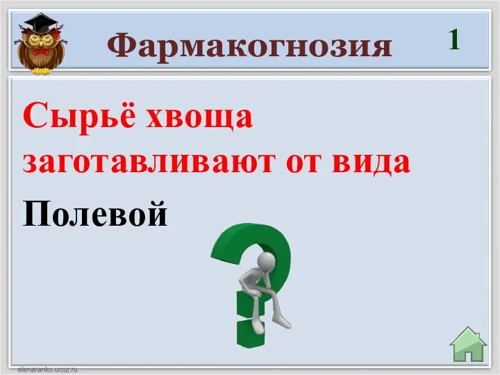 Фармакогнозия 1 Полевой Сырьё хвоща заготавливают от вида