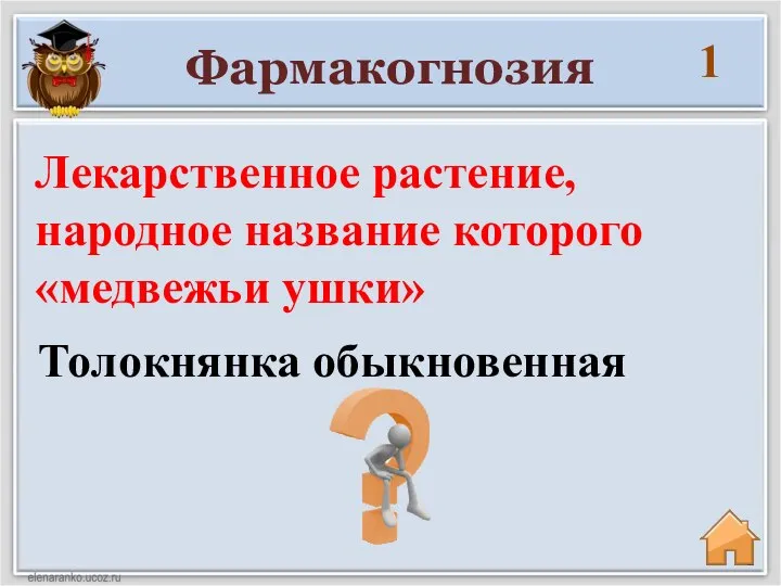 Фармакогнозия 1 Толокнянка обыкновенная Лекарственное растение, народное название которого «медвежьи ушки»