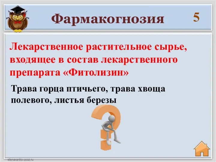 Фармакогнозия 5 Трава горца птичьего, трава хвоща полевого, листья березы Лекарственное