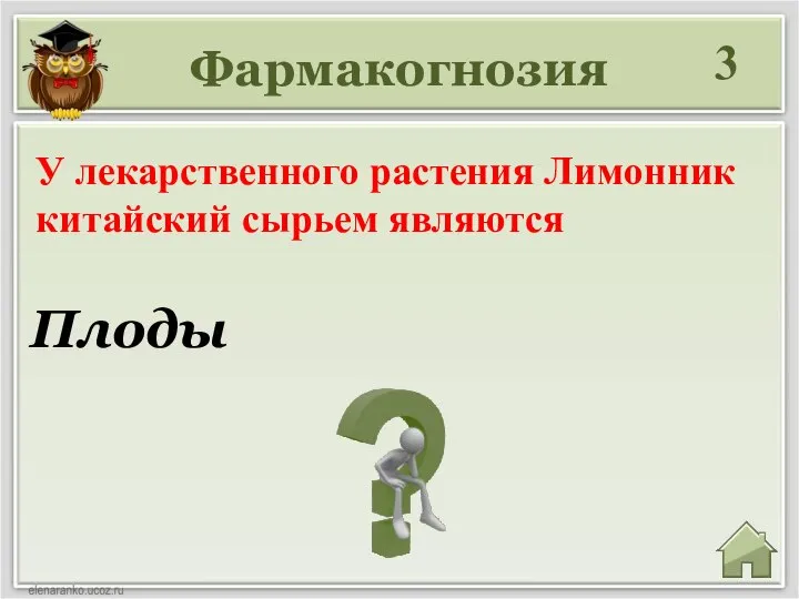 Фармакогнозия 3 Плоды У лекарственного растения Лимонник китайский сырьем являются