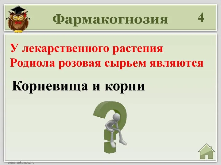 Фармакогнозия 4 Корневища и корни У лекарственного растения Родиола розовая сырьем являются