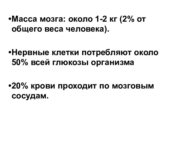 Масса мозга: около 1-2 кг (2% от общего веса человека). Нервные