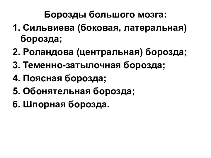 Борозды большого мозга: 1. Сильвиева (боковая, латеральная) борозда; 2. Роландова (центральная)