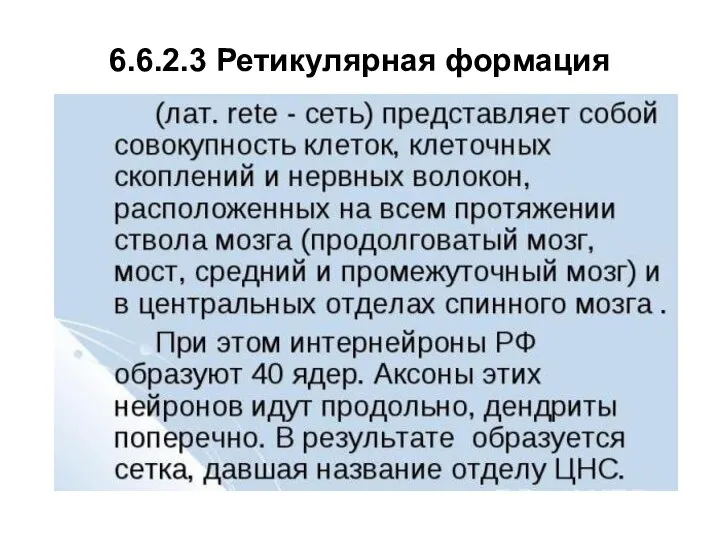 6.6.2.3 Ретикулярная формация