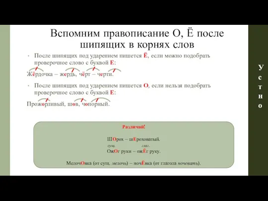 Вспомним правописание О, Ё после шипящих в корнях слов После шипящих