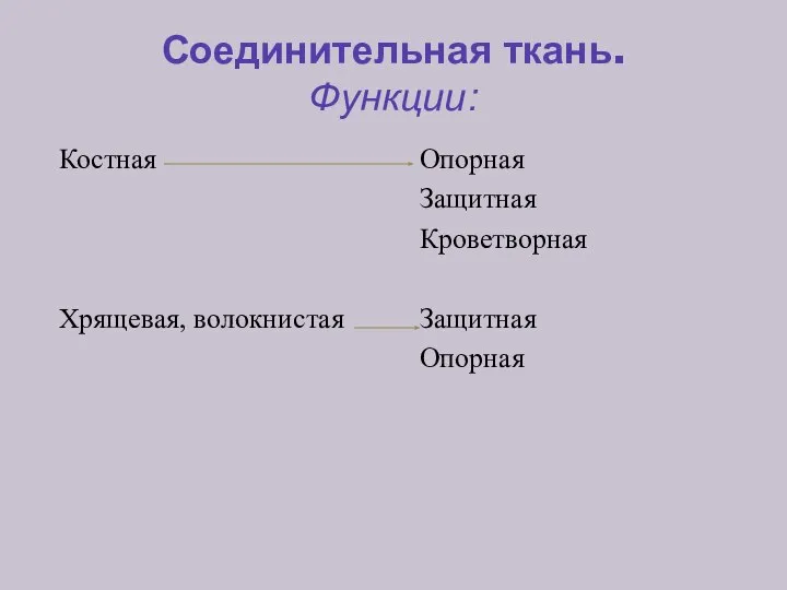 Соединительная ткань. Функции: Костная Хрящевая, волокнистая Опорная Защитная Кроветворная Защитная Опорная