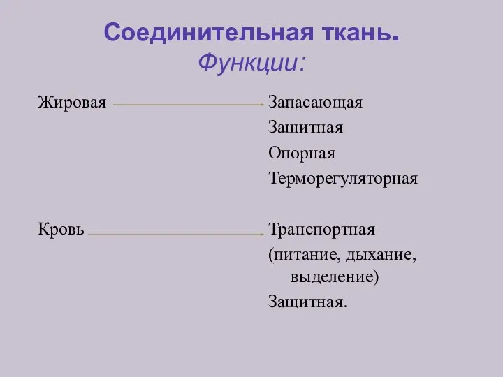 Соединительная ткань. Функции: Жировая Кровь Запасающая Защитная Опорная Терморегуляторная Транспортная (питание, дыхание, выделение) Защитная.