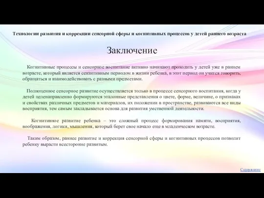 Заключение Технологии развития и коррекции сенсорной сферы и когнитивных процессов у