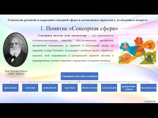 1. Понятие «Сенсорная сфера» Технологии развития и коррекции сенсорной сферы и