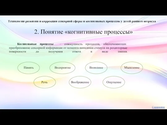 2. Понятие «когнитивные процессы» Технологии развития и коррекции сенсорной сферы и