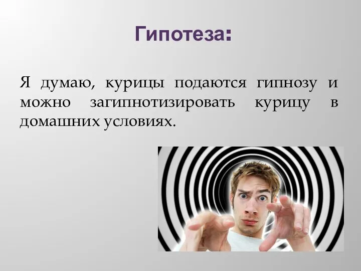 Гипотеза: Я думаю, курицы подаются гипнозу и можно загипнотизировать курицу в домашних условиях.