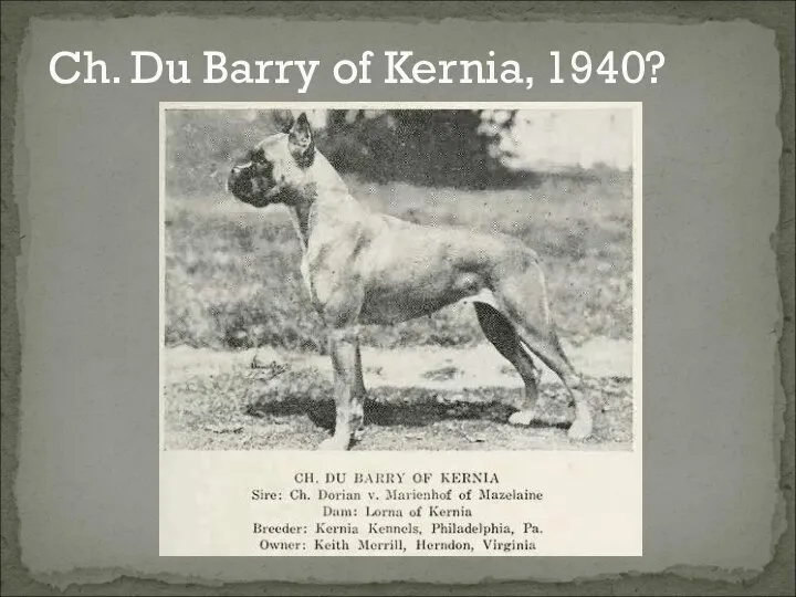 Ch. Du Barry of Kernia, 1940?