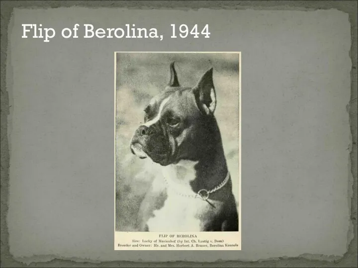 Flip of Berolina, 1944