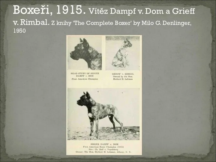 Boxeři, 1915. Vítěz Dampf v. Dom a Grieff v. Rimbal. Z