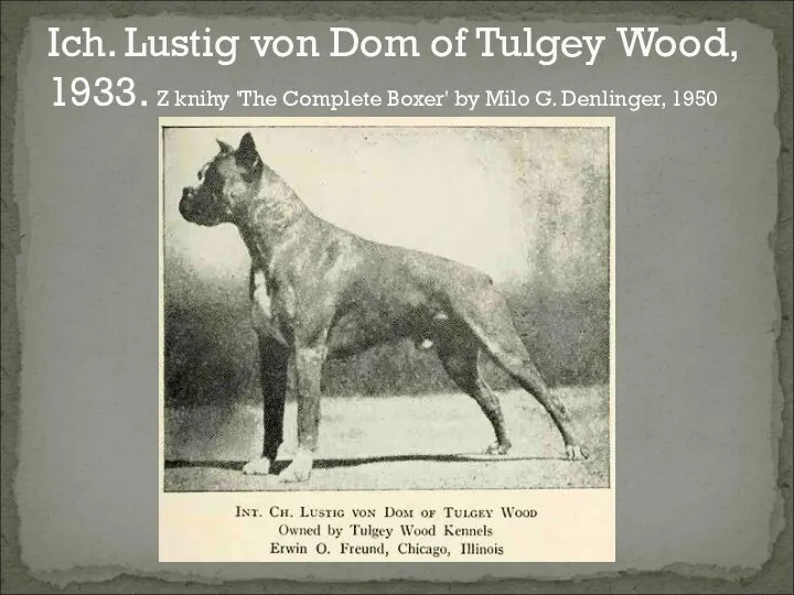 Ich. Lustig von Dom of Tulgey Wood, 1933. Z knihy 'The